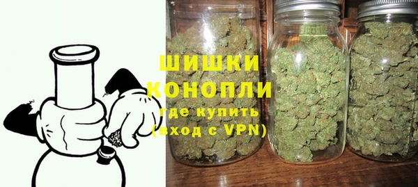 бошки Бронницы