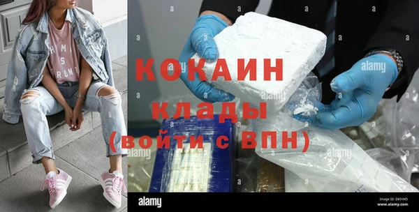 бошки Бронницы