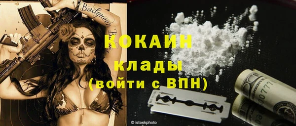 бошки Бронницы