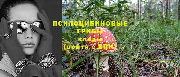 амф Бугульма