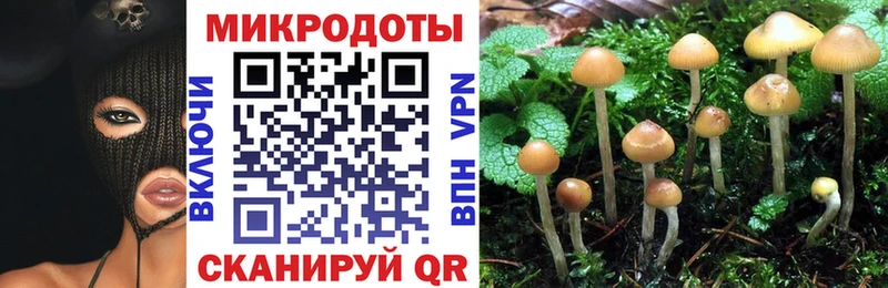 Псилоцибиновые грибы Psilocybine cubensis  сколько стоит  маркетплейс какой сайт  Екатеринбург 